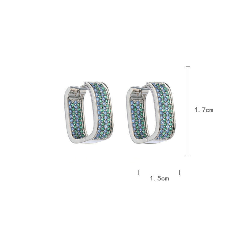 Hoop Cubic Zirconia Earrings E6452
