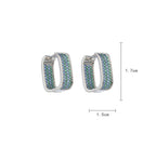 Hoop Cubic Zirconia Earrings E6452