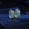 Hoop Cubic Zirconia Earrings E6452