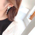 Butterfly Tassel Zirconia Earrings E7684