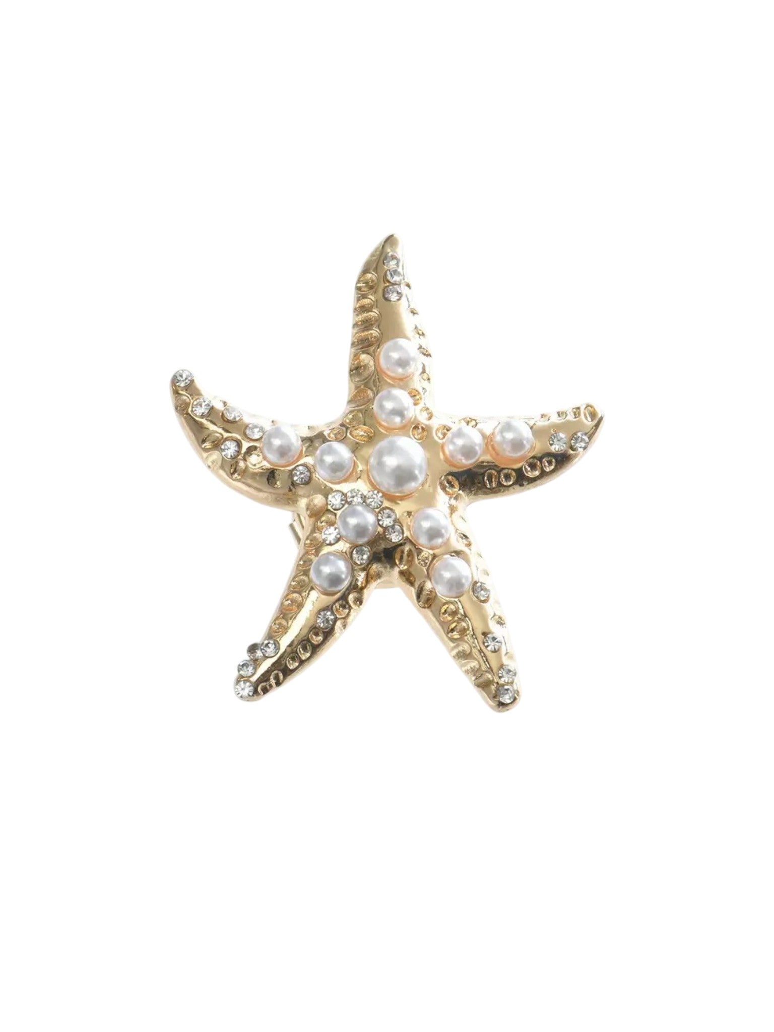 Starfish Alloy Bottom MIS1067