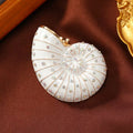 Conch Rhinestone Brooch PA6444