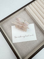 Butterfly Acrylic Hair Clip L5143