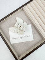 Butterfly Acrylic Hair Clip L5143