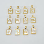 12 Constellations Square Stainless Steel Necklace N4398