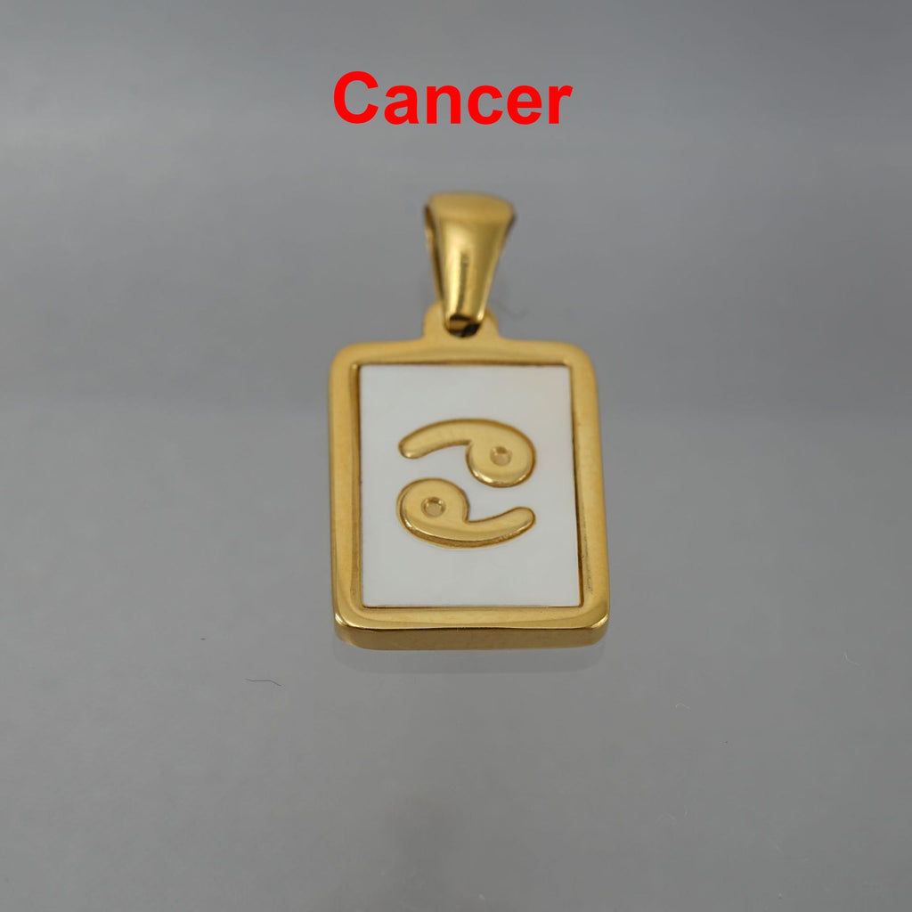 12 Constellations Square Stainless Steel Necklace N4398