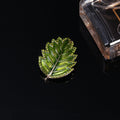 Leaf Alloy Brooch PA3497