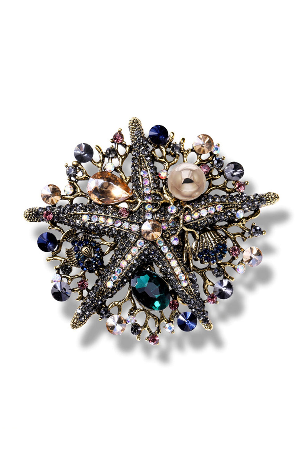 Starfish Coral Brooch PA3904