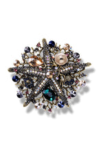 Starfish Coral Brooch PA3904