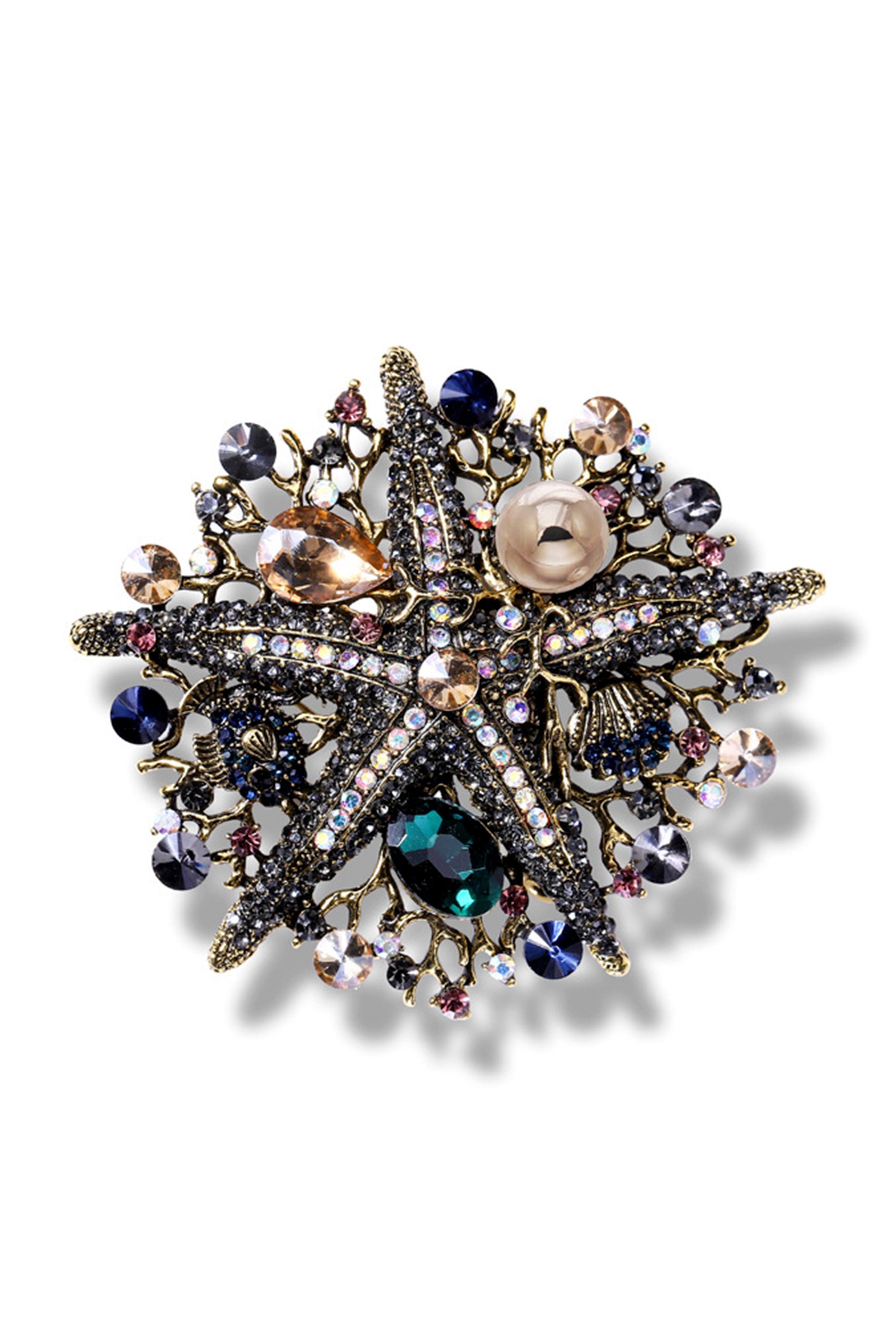 Starfish Coral Brooch PA3904