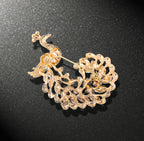 Peacock Rhinestone Brooch PA4521