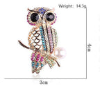 Owl Brooch PA4574