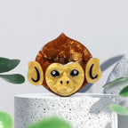 Monkey Head Alloy Acrylic Brooch PA5737