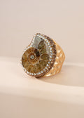 Ammonites Pavé Cocktail Ring R2853